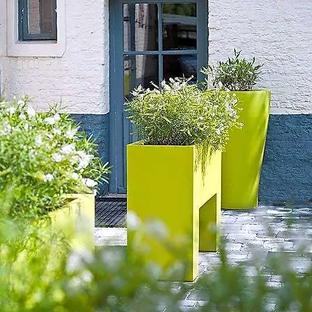 Duinhof 3* 德哈恩